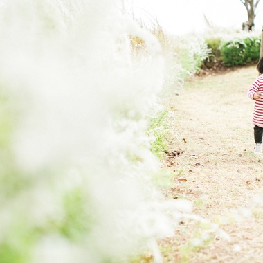 Yuki Shimada Photographyが撮影した「ファミリーフォト」の写真