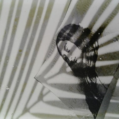 baysidecoyoteが撮影した「セカンドイメージ」の写真