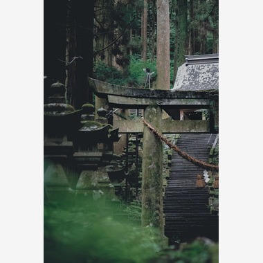 松村颯が撮影した「留学生活」の写真