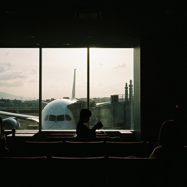 Nishizawa Yamatoが撮影した「スナップ」の写真