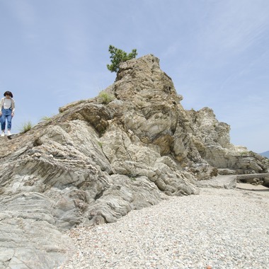 辻 充彦が出張撮影した「家族写真」の家族写真