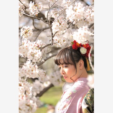 Photographer  Tomoが撮影した「成人の日」の写真