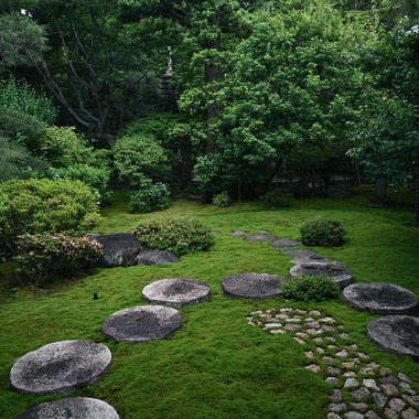 菅悠生が撮影した「野外・庭園」の写真