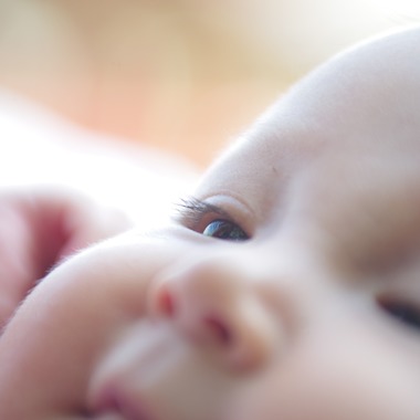 黒沢　茂が出張撮影した「お宮参り鶴岡八幡宮」の家族写真