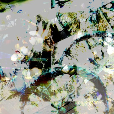 baysidecoyoteが撮影した「イメージ」の写真