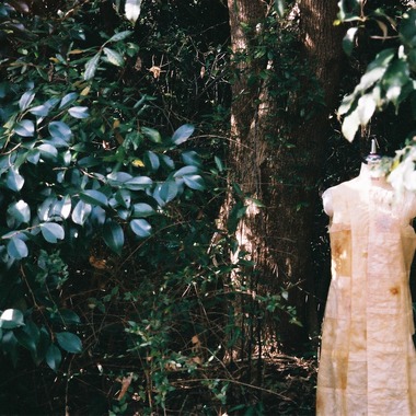 村崎玲巨が撮影した「食べる服　堺」の写真