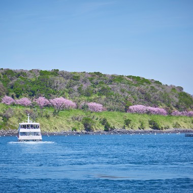 津田野 瑞希が撮影した「風景」の写真