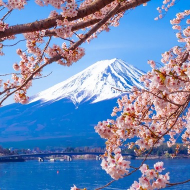 レオン・スナップサービスが出張撮影した「富士山」の家族写真