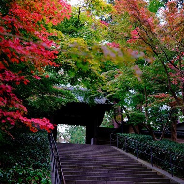 Mid-Village Studioが撮影した「日本家屋」の写真