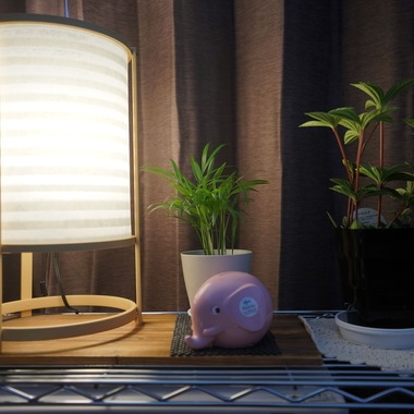 勇元翔が撮影した「レンタルルーム」の写真