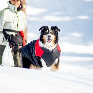 スマイルチューンが撮影した「ペット撮影」の写真