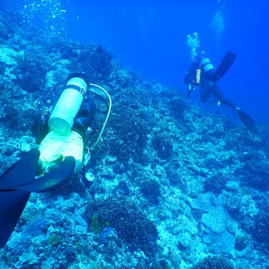杉野優介が撮影した「スキューバーダイビング水中撮影」の写真