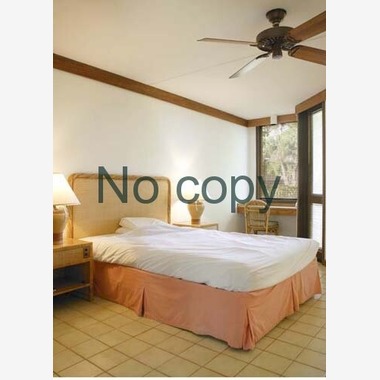 有限会社フリーディメンション　田中勝巳が撮影した「ロケーション撮影、イベント撮影」の写真