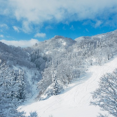 吉平仁が撮影した「スキー場」の写真