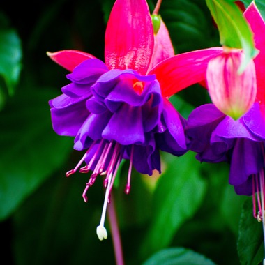水嶋 将太が撮影した「思い出。」の写真