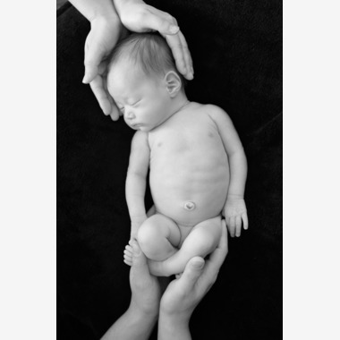 アラタンホヤガが撮影した「ニューボーンフォト」の写真