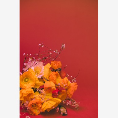 朝山　啓司が撮影した「写真」の写真