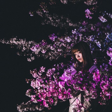 KIRAが撮影した「桜2019」の写真