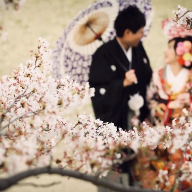 elle pupaが撮影した「京都」の写真