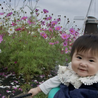 小林　碧が撮影した「いつもの公園で」の写真