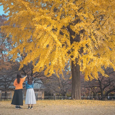 三橋宣貴が撮影した「代々木公園フレンドフォト」の写真