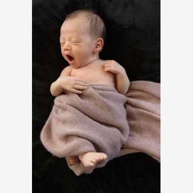 アラタンホヤガが撮影した「ニューボーンフォト」の写真