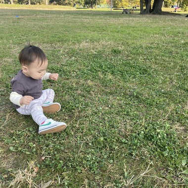 小林　碧が撮影した「いつもの公園で」の写真