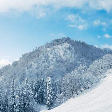 吉平仁が撮影した「スキー場」の写真