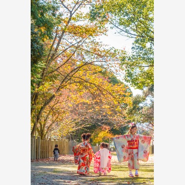 山田由佳が撮影した「七五三撮影」の写真