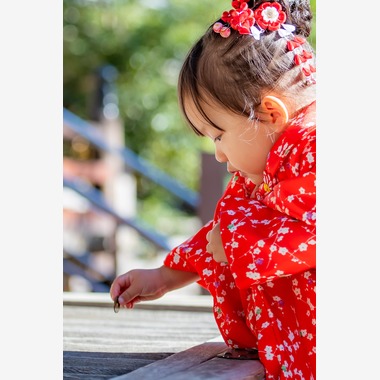 maruが撮影した「お寺で七五三」の写真