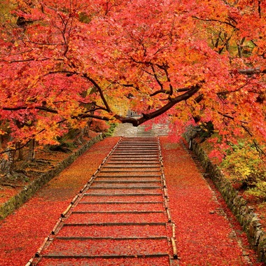 溝口崇が撮影した「風景写真」の写真