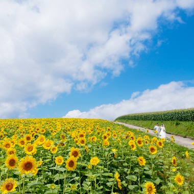 株式会社フォトシーズンが撮影した「」のウェディングフォト