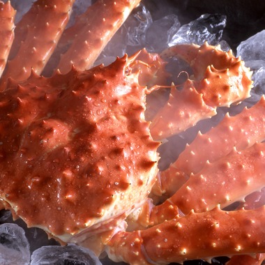 写真事務所ポートフォリオが撮影した「私のライフワーク」の写真