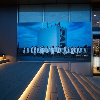 稲葉幸辰が撮影した「夜空に輝く欅坂46」の写真