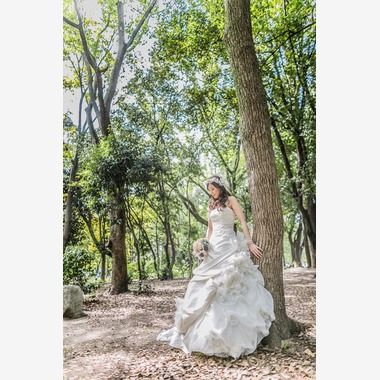 阿部写真館　大阪本町 靭公園前が撮影した「緑のロケーション」の写真