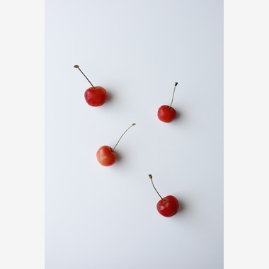 二葉が撮影した「商品撮影・物撮り」の写真