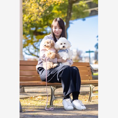 Photo taken by 踊るカメラマンAKIRA - Pet Photography