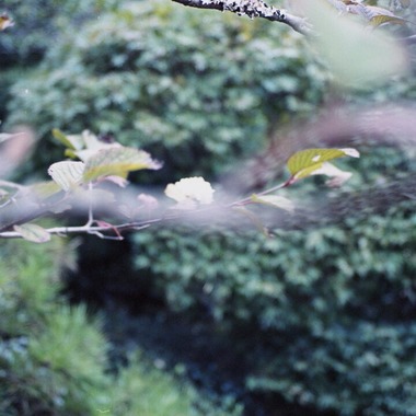 熊谷順写真事務所が撮影した「日本の美しい風景」の写真