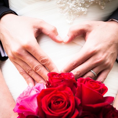 フォトグラフィカが撮影した「フォトギャラリー」の写真