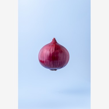 Hiroが撮影した「スタジオ、出張撮影」の写真