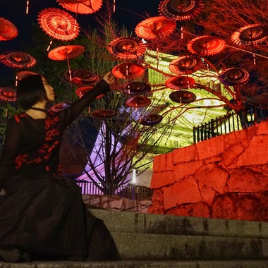 鶴原元気が撮影した「幻想一夜」の写真