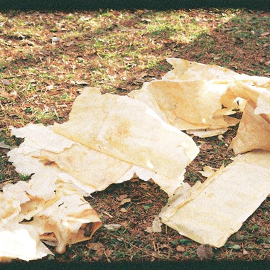 村崎玲巨が撮影した「食べる服　堺」の写真