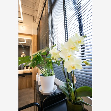 鈴木美咲が撮影した「新規開業ヘアサロン撮影」の写真