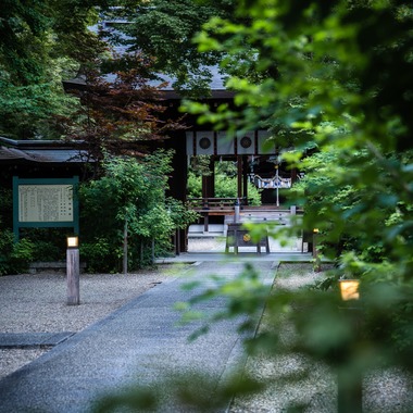 田中愛実が撮影した「DIG THE TEA【WEB記事】」の写真