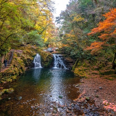 リトルダイナソーが撮影した「風景」の写真