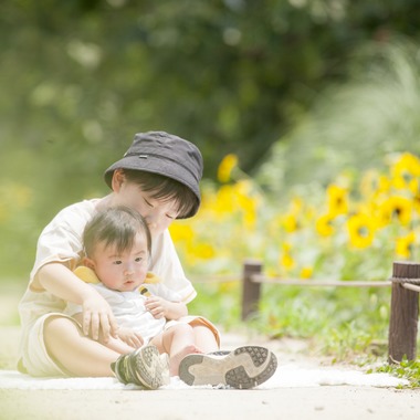 スタジオミルクが撮影した「ひまわり撮影＠昭和記念公園」の写真