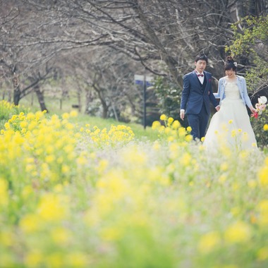 Photo taken by Takano Kazuki - Spring Japan