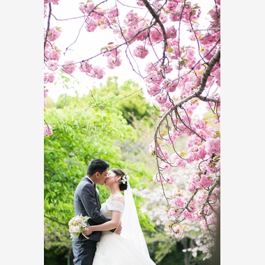 Hajime no Ai Photographyが撮影した「桜ロケーションフォト」の写真