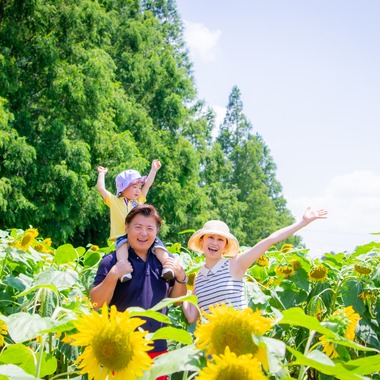 かわもとえつこが撮影した「ファミリーフォト」の写真