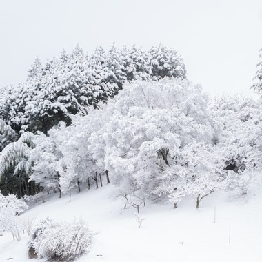 村のくまが撮影した「風景」の写真